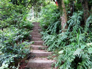 Steps to the top